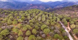 En venta, finca de turismo rural y ganadera en Sierra Morena de Córdoba