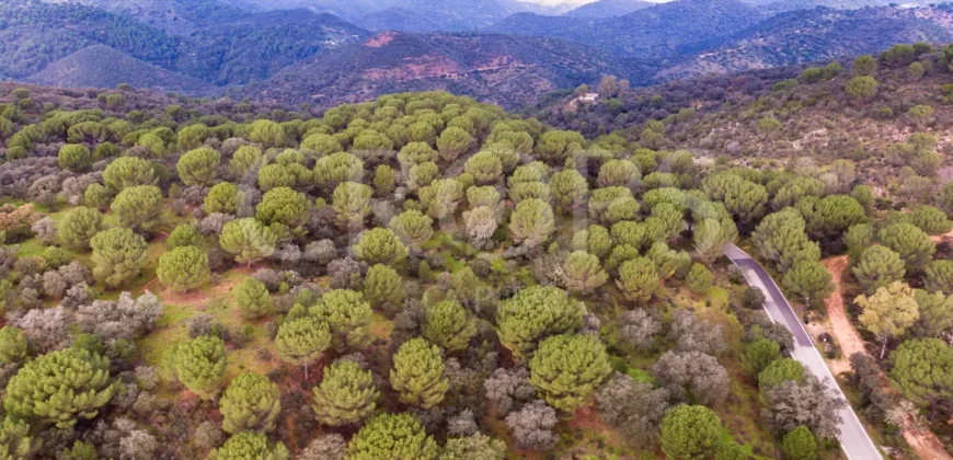 En venta, finca de turismo rural y ganadera en Sierra Morena de Córdoba