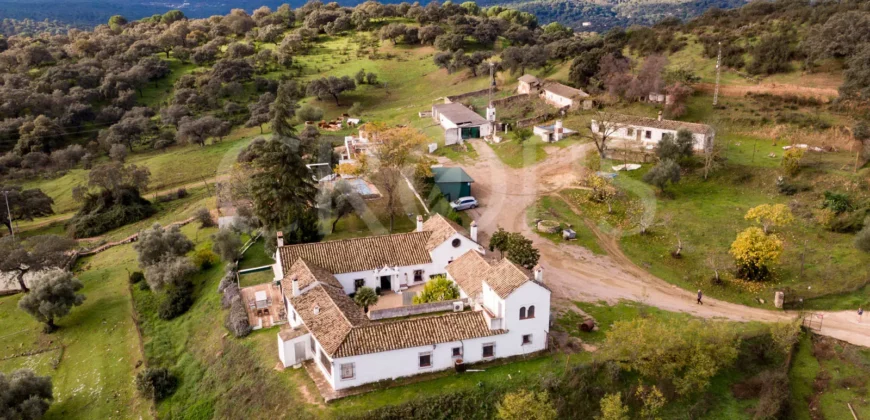 En venta, finca de turismo rural y ganadera en Sierra Morena de Córdoba