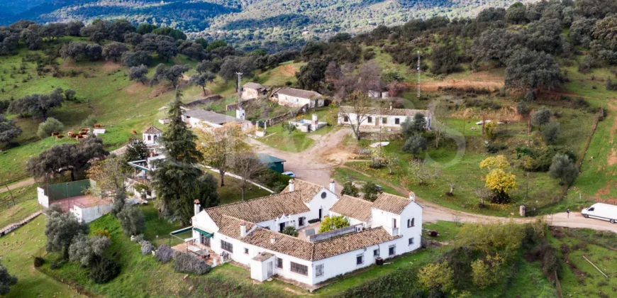 En venta, finca de turismo rural y ganadera en Sierra Morena de Córdoba