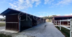 En venta, exclusiva finca hípica de alto nivel cerca de Barcelona