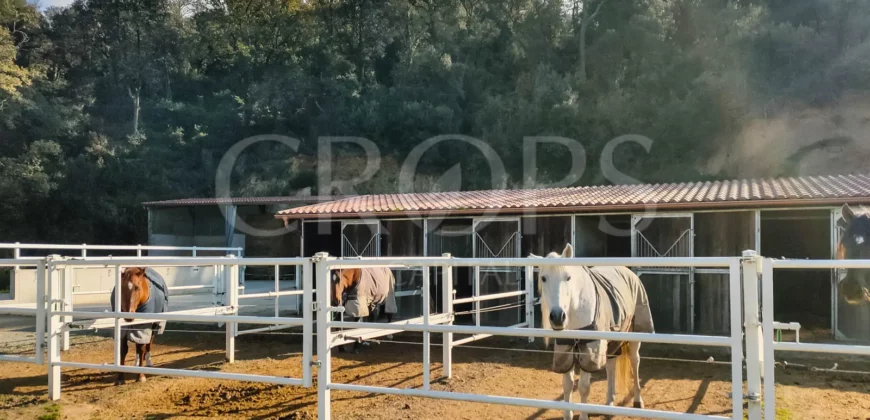 En venta, exclusiva finca hípica de alto nivel cerca de Barcelona