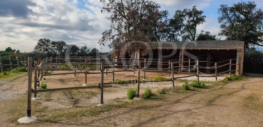 En venta, exclusiva finca hípica de alto nivel cerca de Barcelona