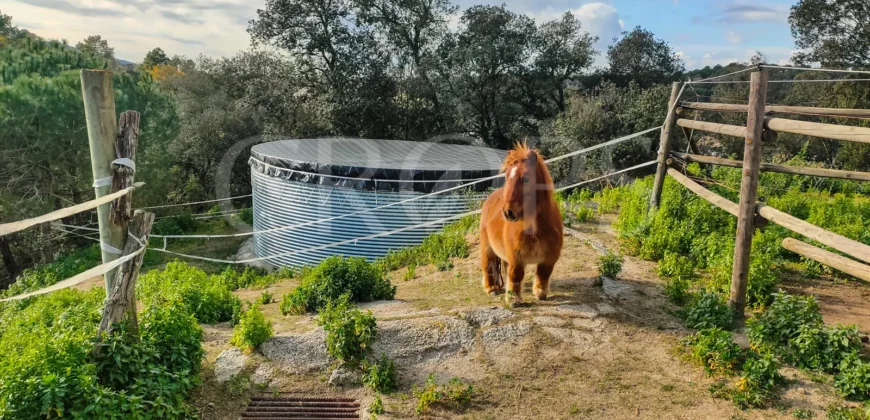 En venta, exclusiva finca hípica de alto nivel cerca de Barcelona