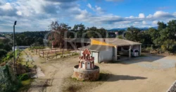 En venta, exclusiva finca hípica de alto nivel cerca de Barcelona