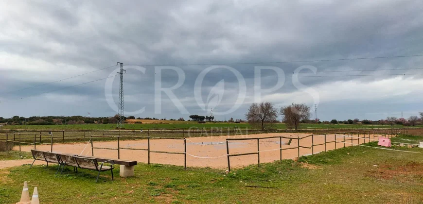 Hípica en venta a menos de 1 hora Madrid