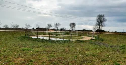 Hípica en venta a menos de 1 hora Madrid