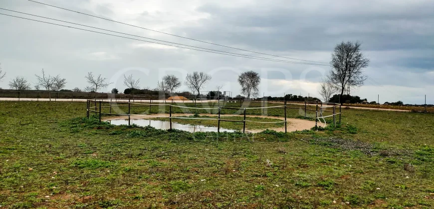 Hípica en venta a menos de 1 hora Madrid