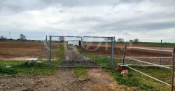 Hípica en venta a menos de 1 hora Madrid