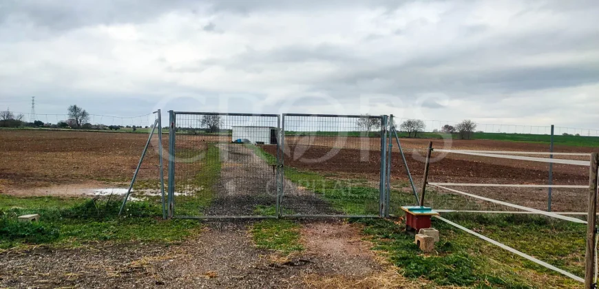 Hípica en venta a menos de 1 hora Madrid