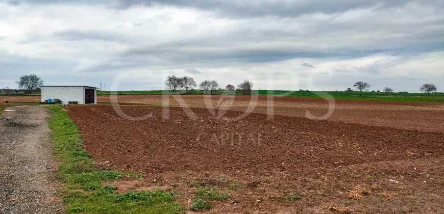 Hípica en venta a menos de 1 hora Madrid