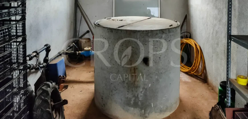 Hípica en venta a menos de 1 hora Madrid