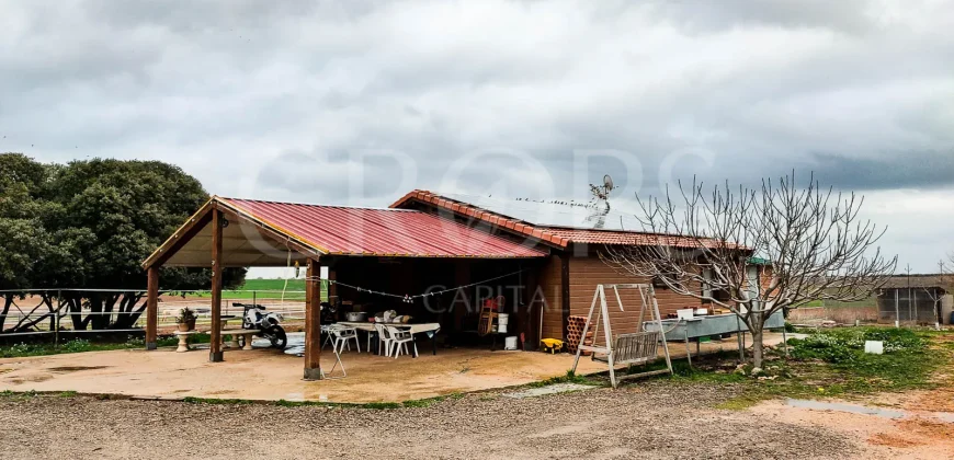 Hípica en venta a menos de 1 hora Madrid