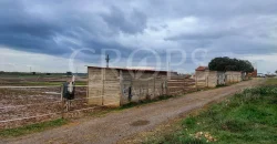 Hípica en venta a menos de 1 hora Madrid