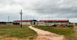 Hípica en venta a menos de 1 hora Madrid