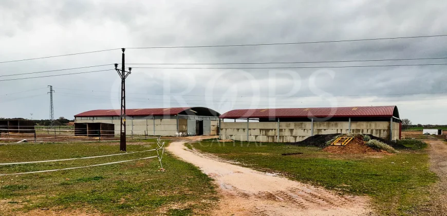 Hípica en venta a menos de 1 hora Madrid