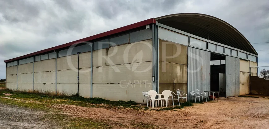 Hípica en venta a menos de 1 hora Madrid