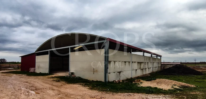 Hípica en venta a menos de 1 hora Madrid