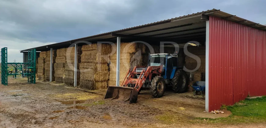 Hípica en venta a menos de 1 hora Madrid
