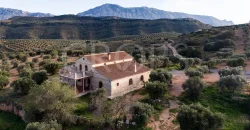 En venta, olivar de regadío con vivienda en el norte de Málaga