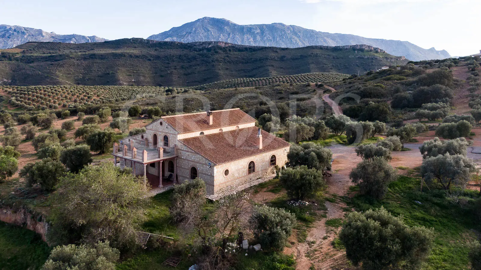 En venta, olivar de regadío con vivienda en el norte de Málaga En venta, olivar de regadío con vivienda en el norte de Málaga