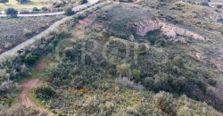 En venta, olivar de regadío con vivienda en el norte de Málaga