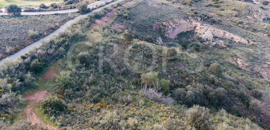 En venta, olivar de regadío con vivienda en el norte de Málaga