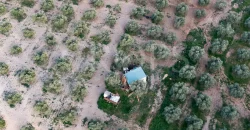 En venta, olivar de regadío con vivienda en el norte de Málaga