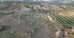 En venta, olivar de regadío con vivienda en el norte de Málaga