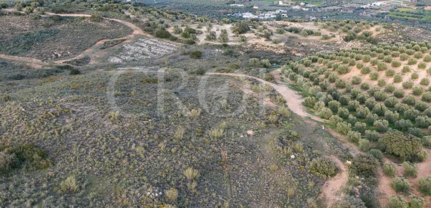 En venta, olivar de regadío con vivienda en el norte de Málaga