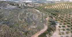 En venta, olivar de regadío con vivienda en el norte de Málaga