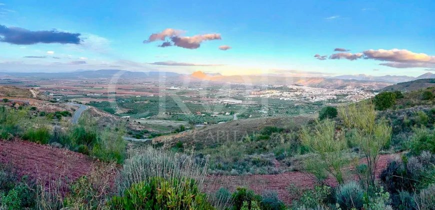 En venta, olivar de regadío con vivienda en el norte de Málaga