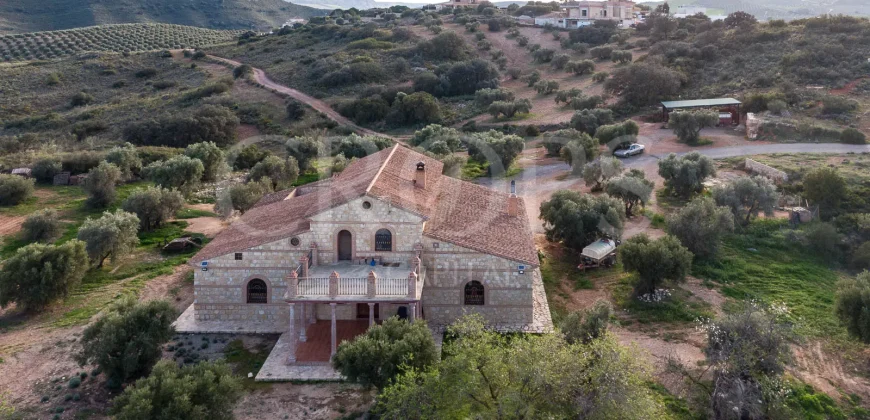 En venta, olivar de regadío con vivienda en el norte de Málaga