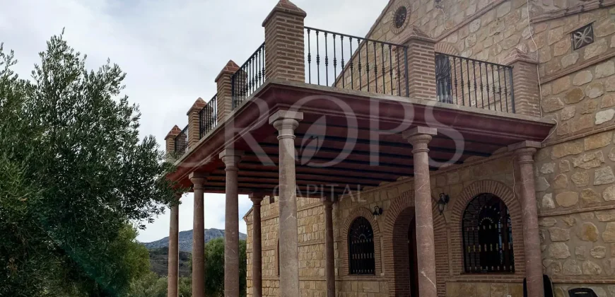 En venta, olivar de regadío con vivienda en el norte de Málaga