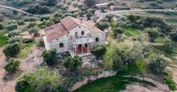 En venta, olivar de regadío con vivienda en el norte de Málaga