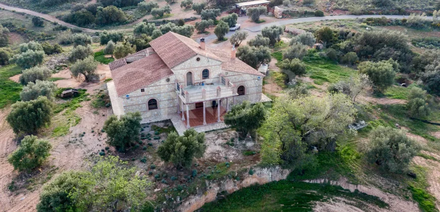 En venta, olivar de regadío con vivienda en el norte de Málaga