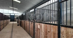 Hípica en venta a menos de 1 hora Madrid