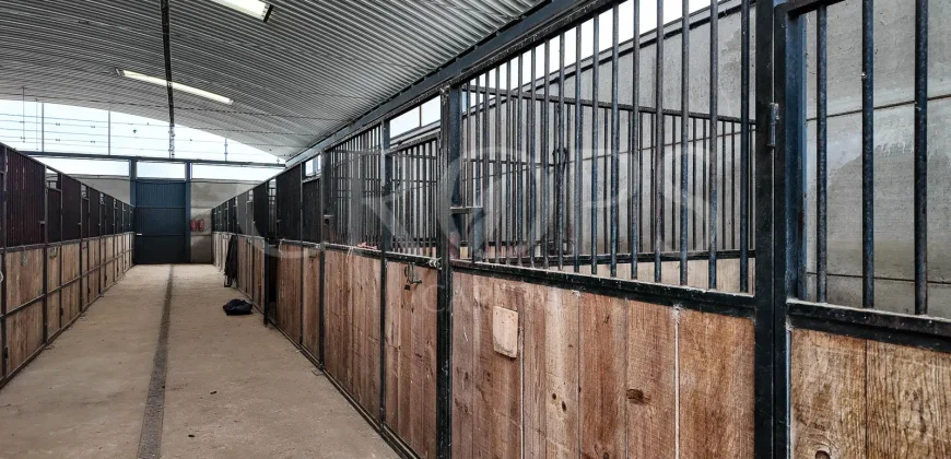 Hípica en venta a menos de 1 hora Madrid