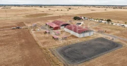 Hípica en venta a menos de 1 hora Madrid