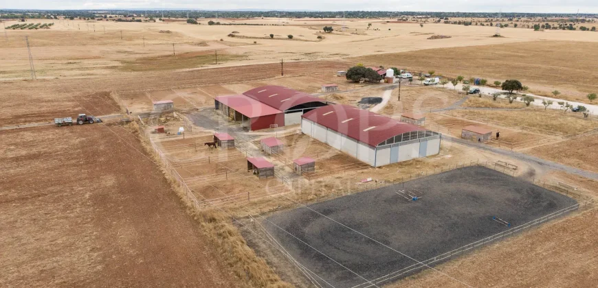 Hípica en venta a menos de 1 hora Madrid