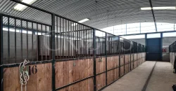 Hípica en venta a menos de 1 hora Madrid