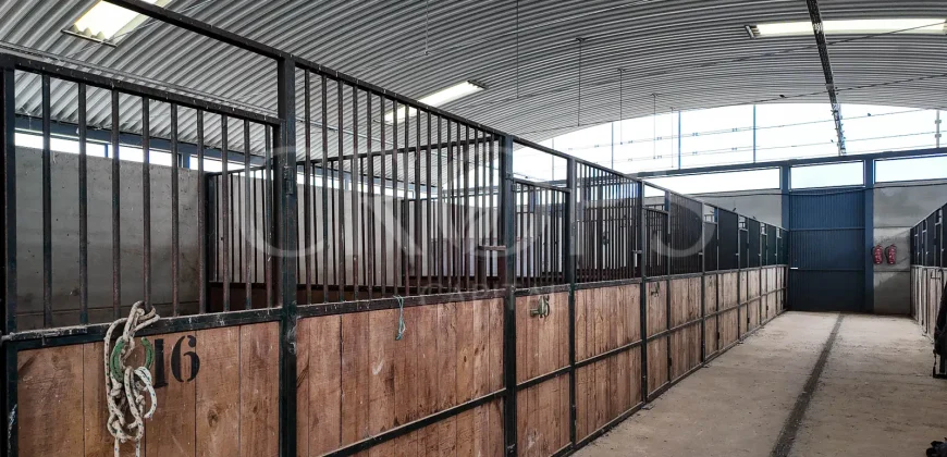 Hípica en venta a menos de 1 hora Madrid