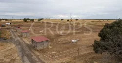 Hípica en venta a menos de 1 hora Madrid