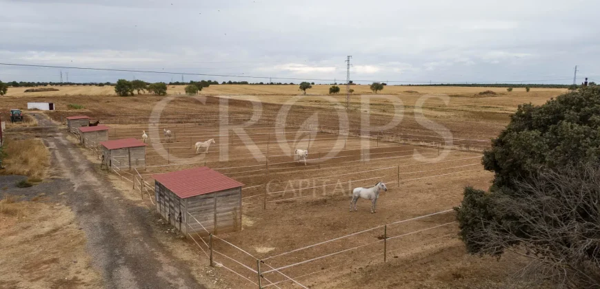 Hípica en venta a menos de 1 hora Madrid