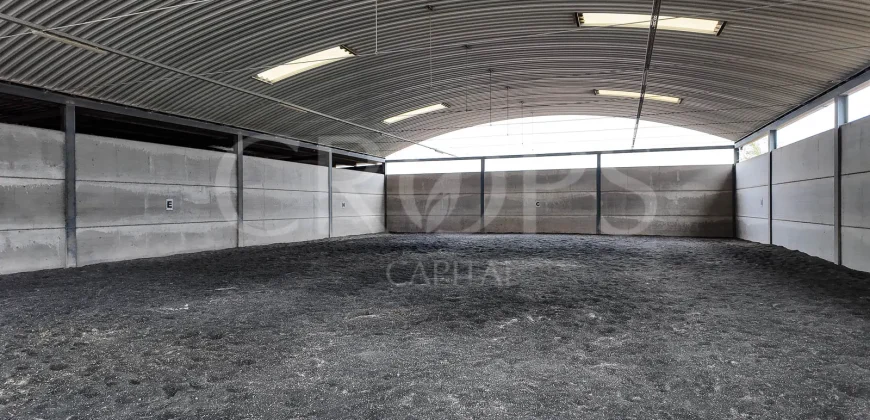 Hípica en venta a menos de 1 hora Madrid