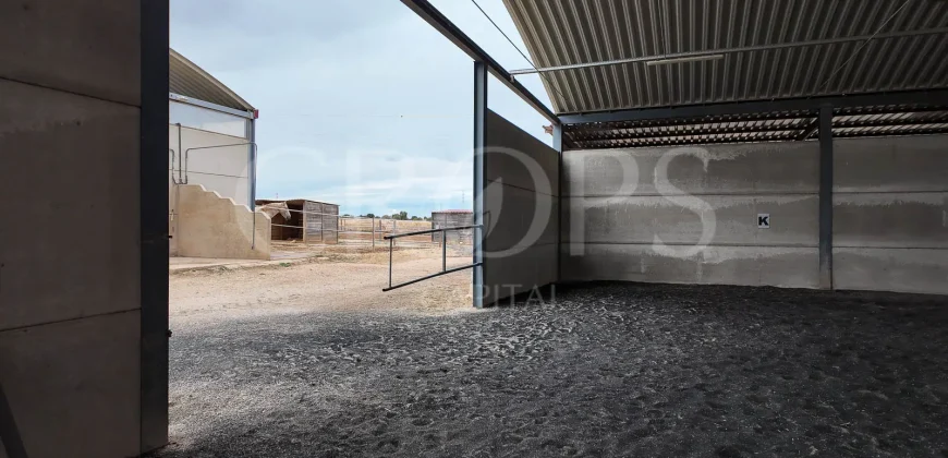 Hípica en venta a menos de 1 hora Madrid