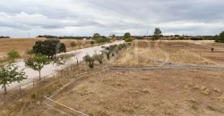 Hípica en venta a menos de 1 hora Madrid