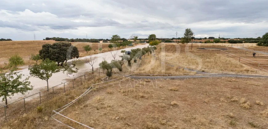 Hípica en venta a menos de 1 hora Madrid