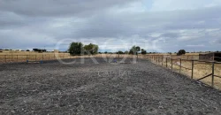 Hípica en venta a menos de 1 hora Madrid