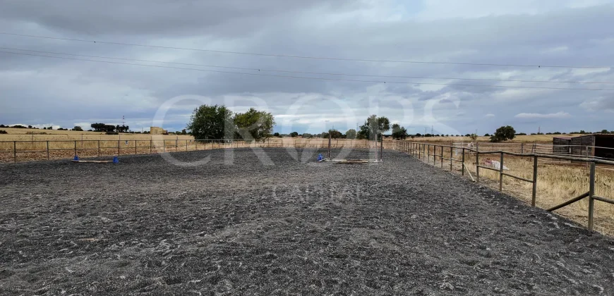 Hípica en venta a menos de 1 hora Madrid